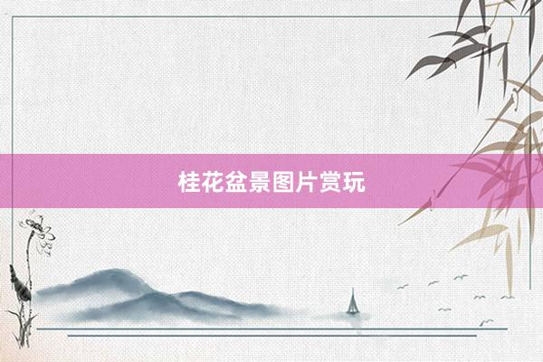 桂花盆景图片赏玩