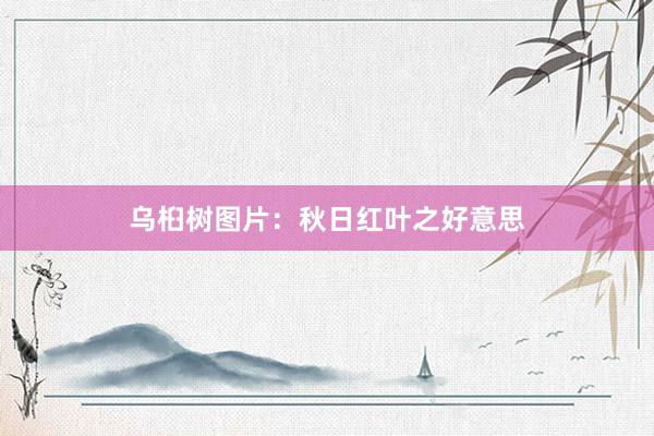 乌桕树图片：秋日红叶之好意思